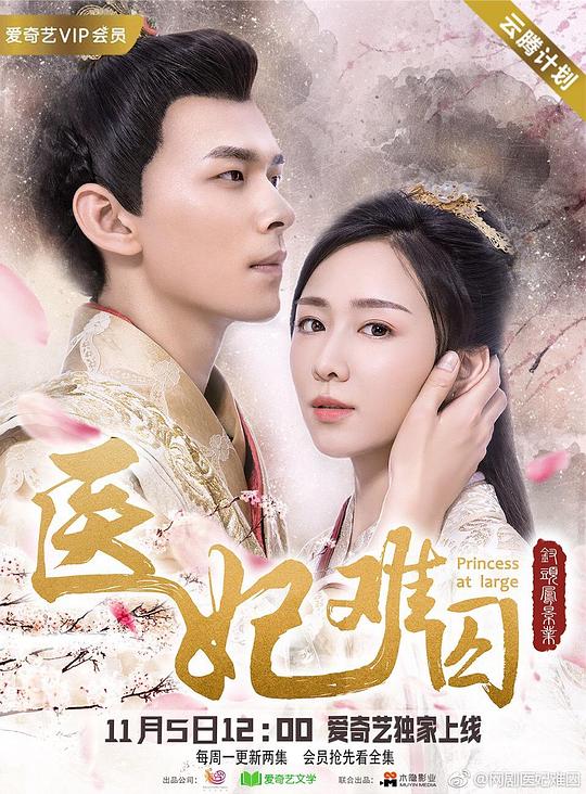 医妃难囚   第一季